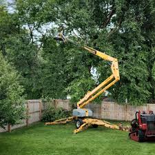 How Our Tree Care Process Works  in  Pocola, OK